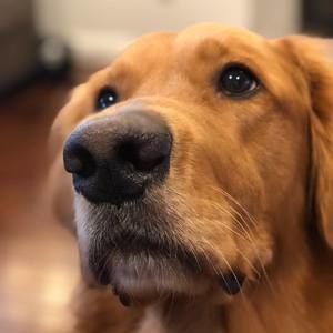 Meet your Posher, Kaiwen